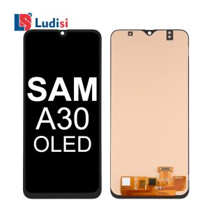 Samsung Galaxy A30 LCD Assembly