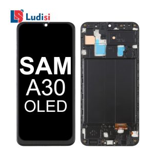 Samsung Galaxy A30 LCD Assembly