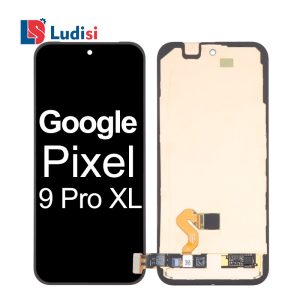 Google Pixel 9 Pro XL Screen with Frame